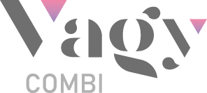 Logo Vagi Combi
